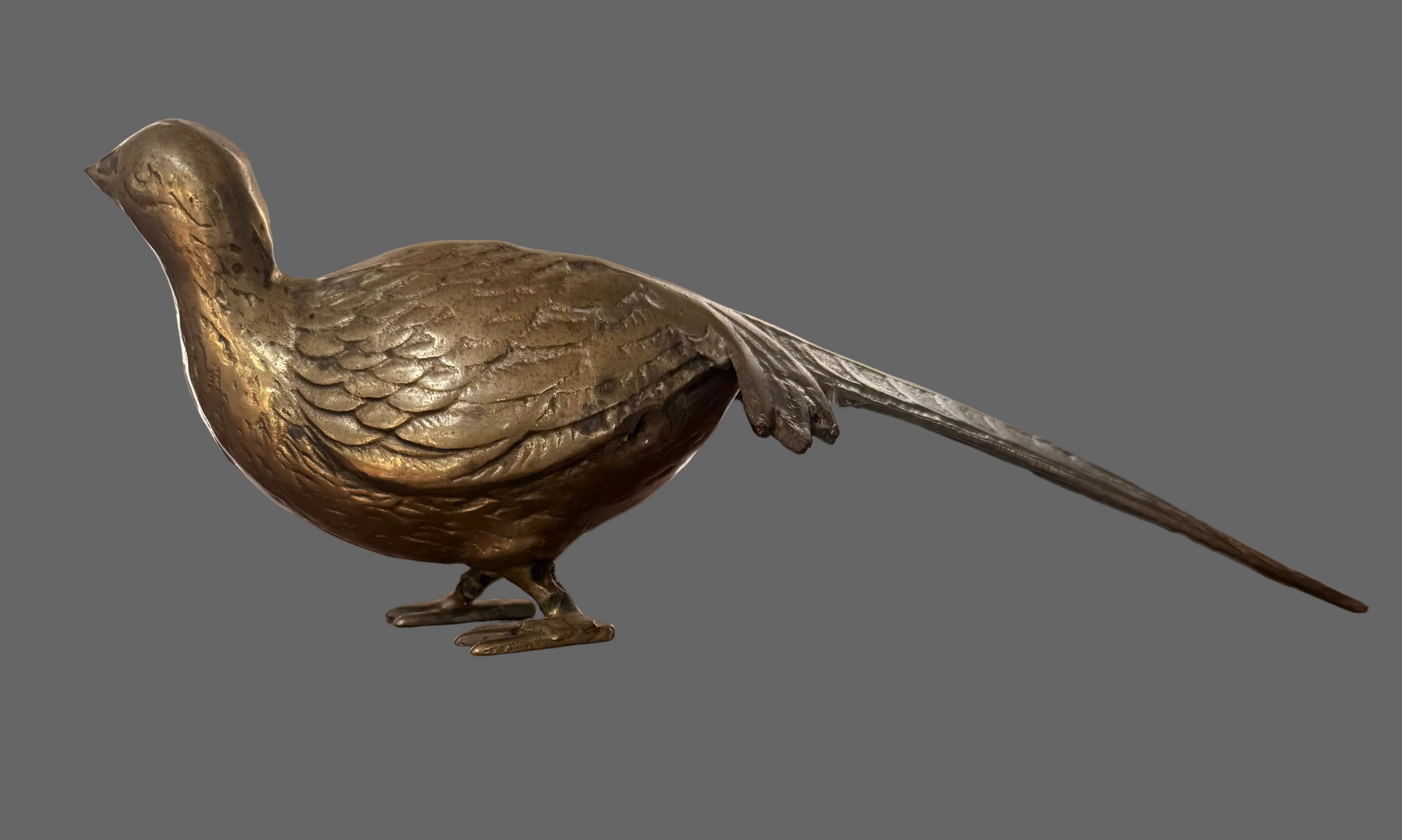 Brass Pheasant
