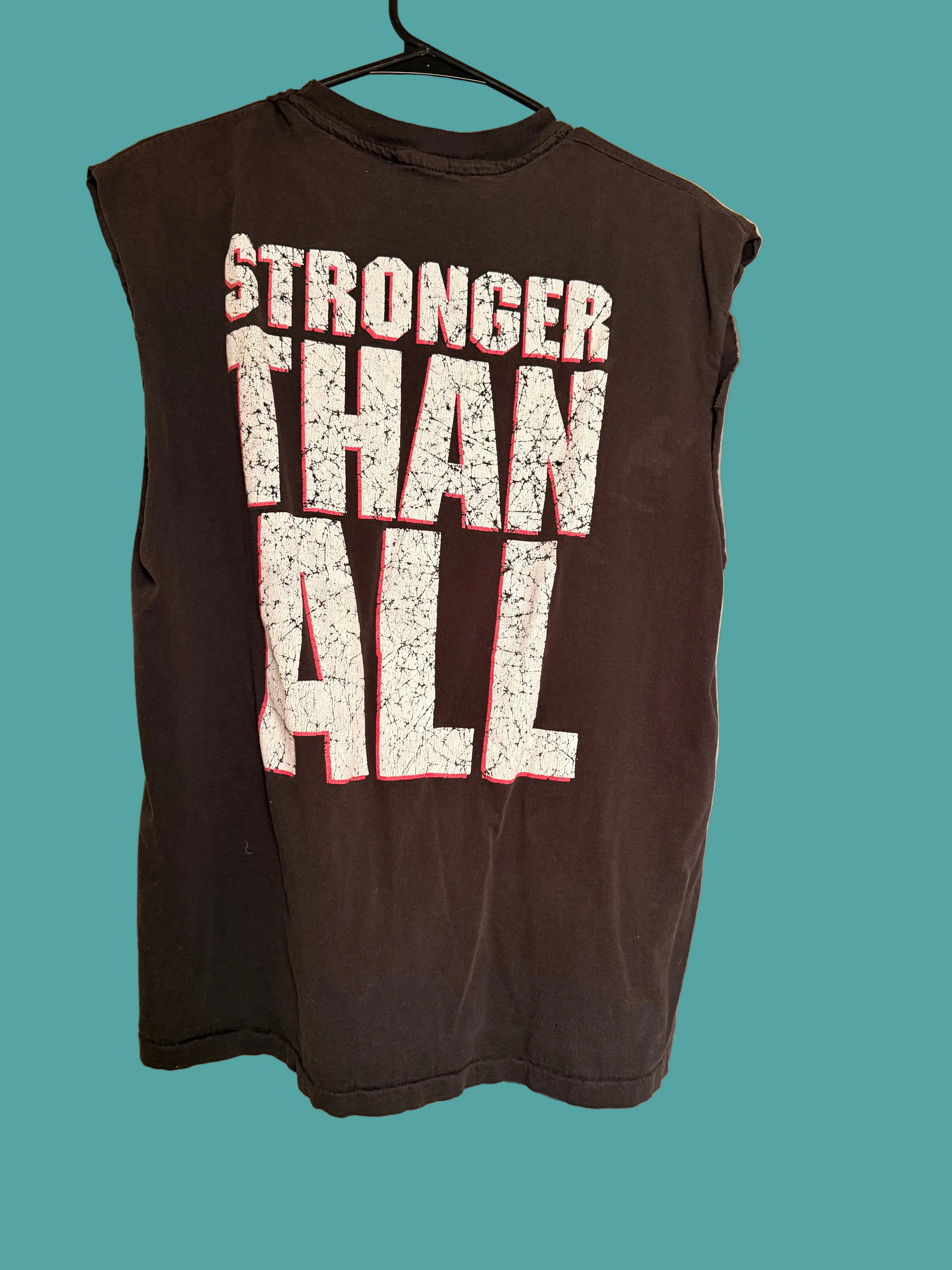 Vintage 90s Pantera Vulgar Display of Power Shirt Hanes Ultraweight Band Tee L